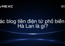 Các blog tiền điện tử phổ biến ở Hà Lan là gì?