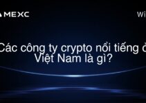 Các công ty crypto nổi tiếng ở Việt Nam là gì?