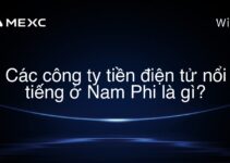 Các công ty tiền điện tử nổi tiếng ở Nam Phi là gì?