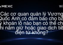 Các cơ quan quản lý Vương Quốc Anh có đảm bảo cho bất kỳ khoản lỗ nào bạn có thể chịu khi nắm giữ hoặc giao dịch tiền điện tử không?