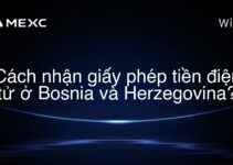 Cách nhận giấy phép tiền điện tử ở Bosnia và Herzegovina?