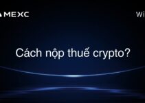 Cách nộp thuế crypto?