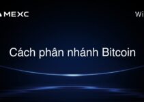 Cách phân nhánh Bitcoin