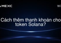 Cách thêm thanh khoản cho token Solana?
