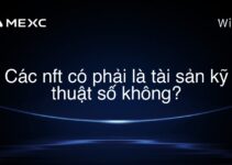 Các nft có phải là tài sản kỹ thuật số không?
