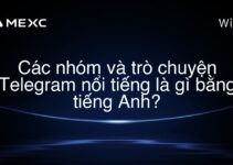 Các nhóm và trò chuyện Telegram nổi tiếng là gì bằng tiếng Anh?