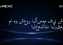 ما هو شعور الأسهم في شركة العملات الرقمية؟