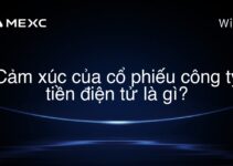 Cảm xúc của cổ phiếu công ty tiền điện tử là gì?