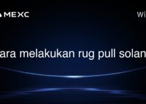 cara melakukan rug pull solana