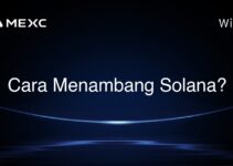 Cara Menambang Solana?