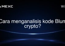 Cara menganalisis kode Blum crypto?