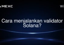 Cara menjalankan validator Solana?