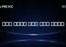 도널드 트럼프가 소유한 코인은 무엇인가