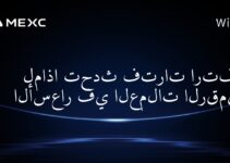 لماذا تحدث فترات ارتفاع الأسعار في العملات الرقمية؟