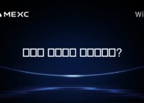 마이클 세일러는 결혼했나요?