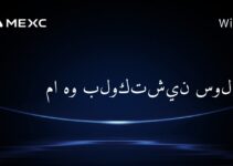 ما هو بلوكتشين سولانا؟