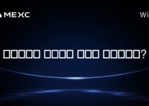세네갈에서 암호화폐 채굴은 합법인가요?
