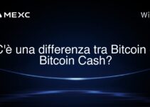 C’è una differenza tra Bitcoin e Bitcoin Cash?