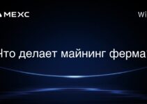 Что делает майнинг ферма?