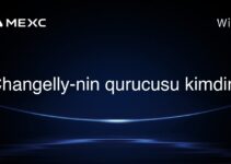 Changelly-nin qurucusu kimdir?