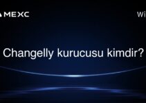 Changelly kurucusu kimdir?