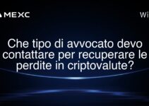 Che tipo di avvocato devo contattare per recuperare le perdite in criptovalute?