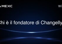 Chi è il fondatore di Changelly?