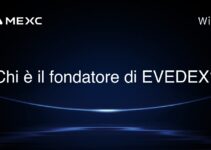 Chi è il fondatore di EVEDEX?