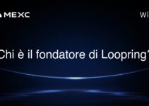 Chi è il fondatore di Loopring?