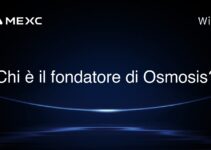 Chi è il fondatore di Osmosis?