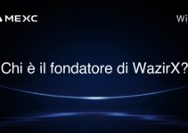 Chi è il fondatore di WazirX?