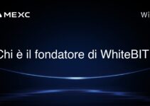 Chi è il fondatore di WhiteBIT?