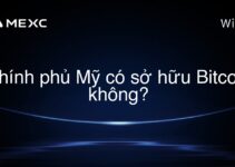Chính phủ Mỹ có sở hữu Bitcoin không?