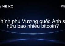 Chính phủ Vương quốc Anh sở hữu bao nhiêu bitcoin?