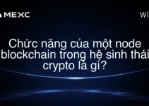 Chức năng của một node blockchain trong hệ sinh thái crypto là gì?