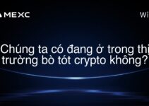 Chúng ta có đang ở trong thị trường bò tót crypto không?