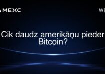Cik daudz amerikāņu pieder Bitcoin?