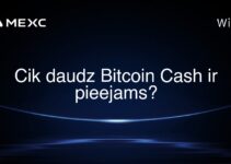 Cik daudz Bitcoin Cash ir pieejams?