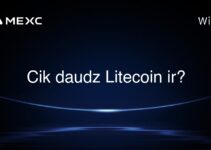 Cik daudz Litecoin ir?