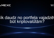 Cik daudz no portfeļa vajadzētu būt kriptovalūtām?