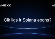 Cik ilgs ir Solana epohs?