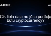 Cik liela daļa no jūsu portfeļa būtu cryptocurrency?