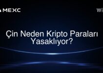 Çin Neden Kripto Paraları Yasaklıyor?