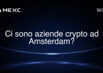 Ci sono aziende crypto ad Amsterdam?
