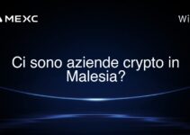 Ci sono aziende crypto in Malesia?