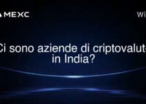 Ci sono aziende di criptovalute in India?