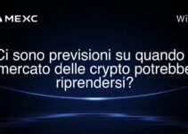 Ci sono previsioni su quando il mercato delle crypto potrebbe riprendersi?