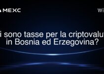 Ci sono tasse per la criptovaluta in Bosnia ed Erzegovina?