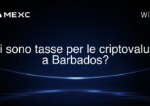 Ci sono tasse per le criptovalute a Barbados?