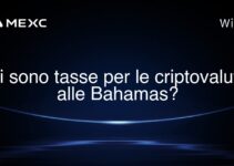 Ci sono tasse per le criptovalute alle Bahamas?